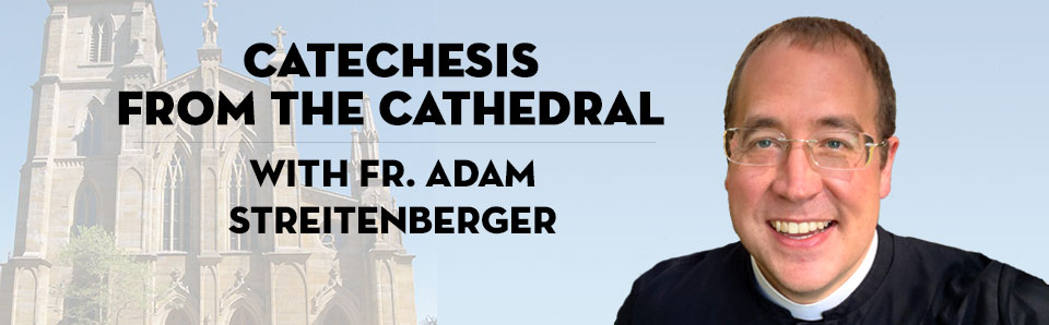 Headshot of Fr. Adam Streitenberger for Catechesis from the Cathedral