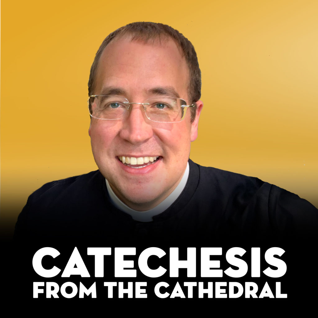 Catechesis from the Cathedral