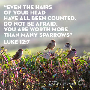 Quote from the Gospel of Luke