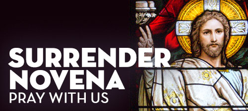 Pray the Surrender Novena with us