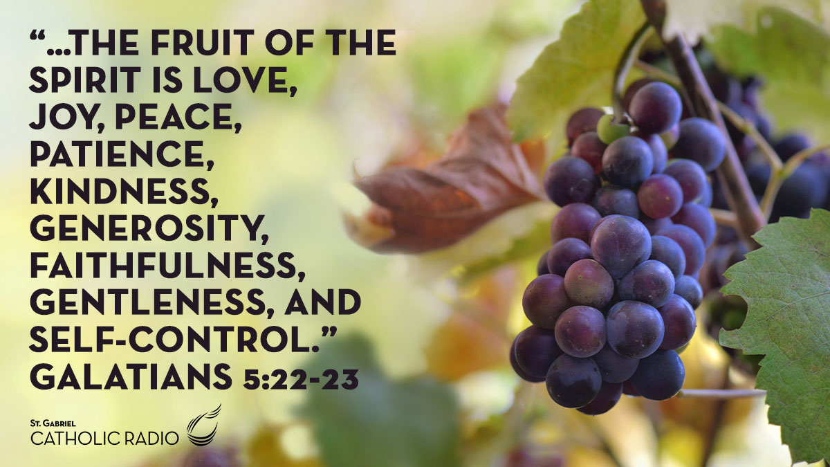 The Fruit Of The Spirit Is Love Galatians 5 22 23 St Gabriel Catholic Radio