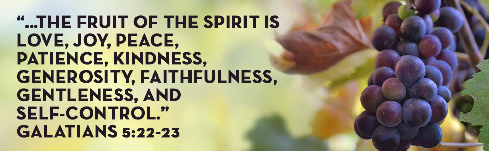 The Fruit of the Spirit is Love Galatians 5 22-23