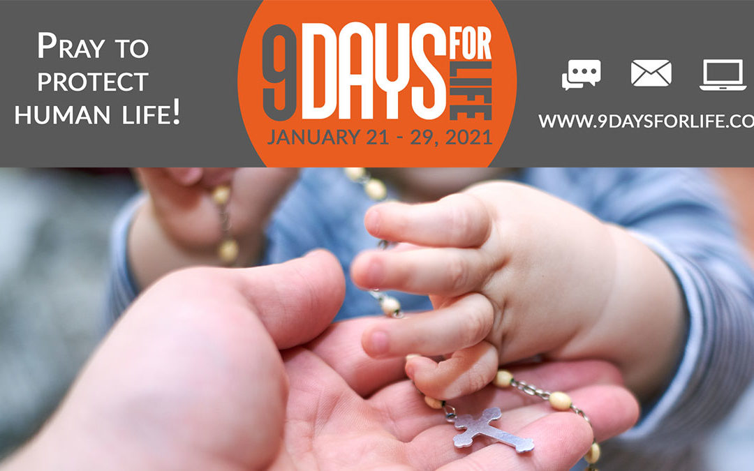 Pray the Life Novena with us!
