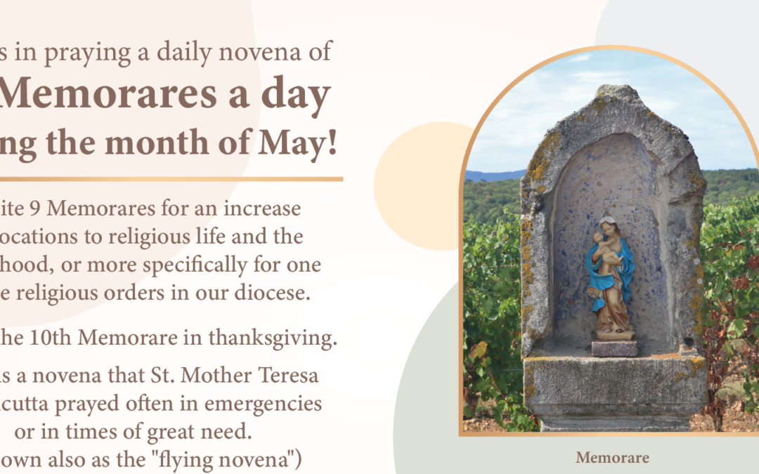 Novena for an Increase of Vocations to Religious Life